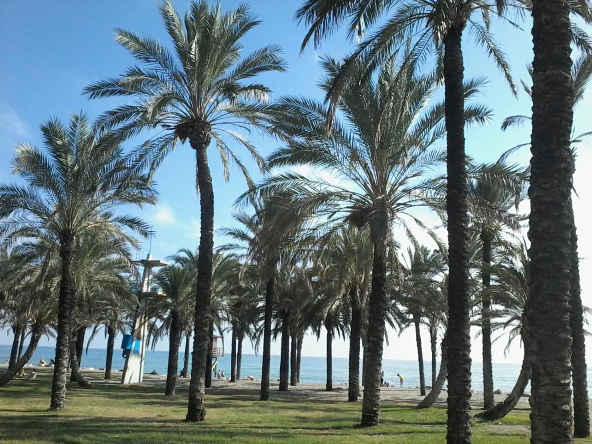 Estudio Costa Del Sol - Torremolinos Exteriér fotografie